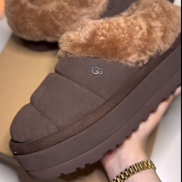 UGG Shoes - UGG Tazzlita Slippers Hardwood